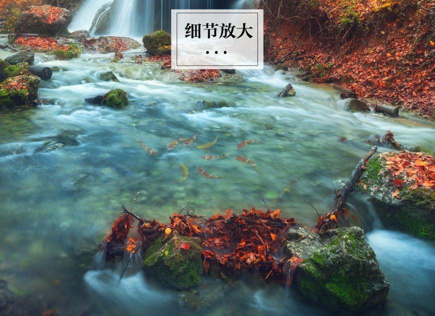 经常参加酒席，导致腹部赘肉成堆，如何摆脱职场肚腩？游戏画面
